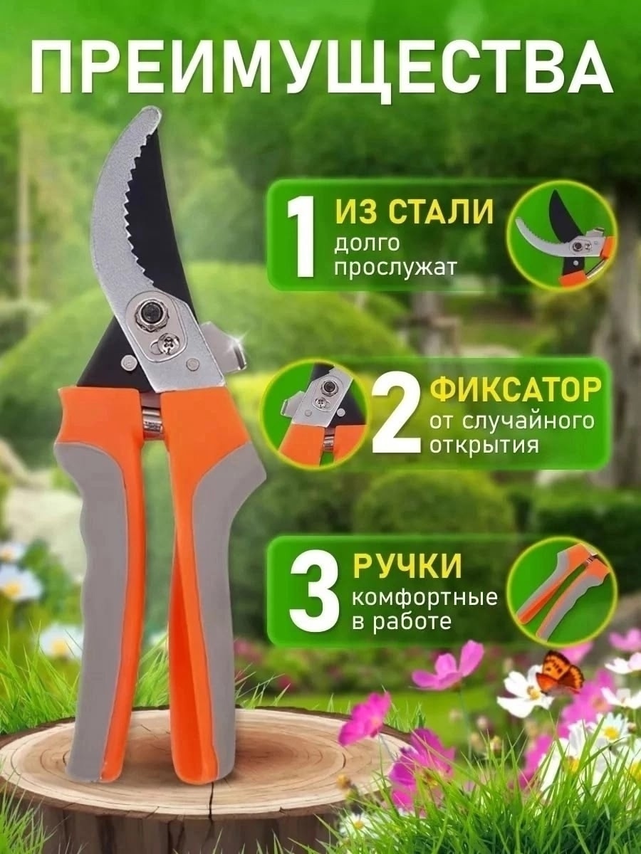 Фото-описание 1