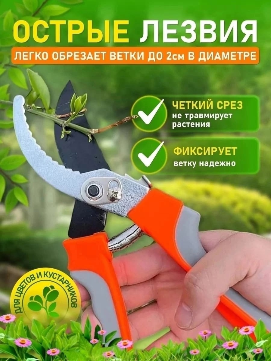 Фото-описание 2