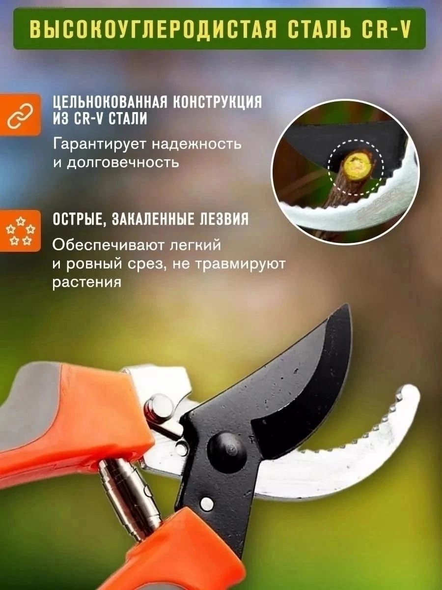 Фото-описание 4